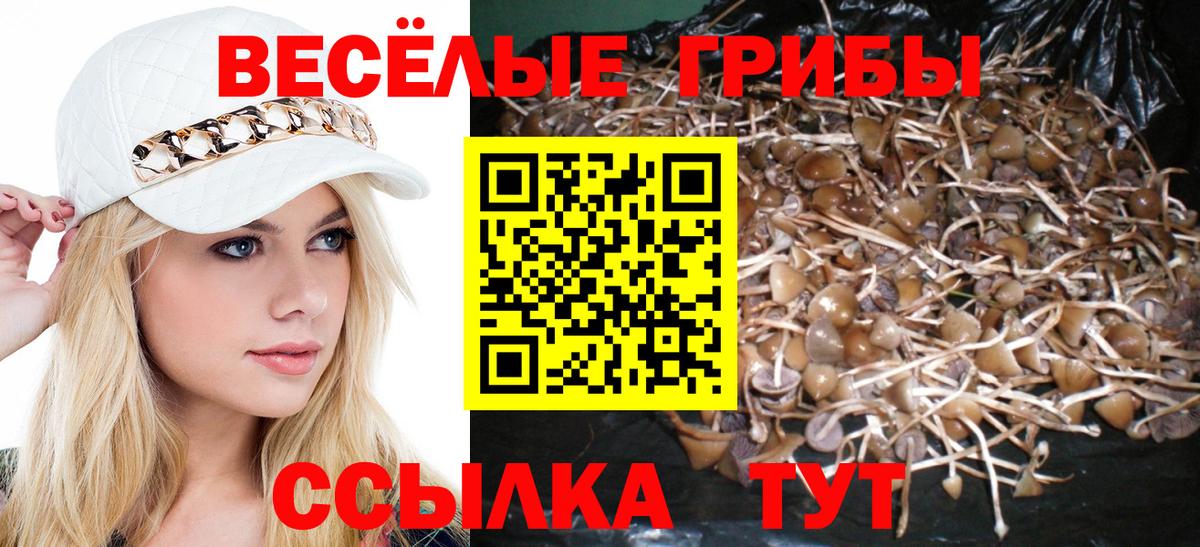 Псилоцибиновые грибы Cubensis  Псилоцибиновые грибы Psilocybine cubensis  Дубна  Вход с VPN 