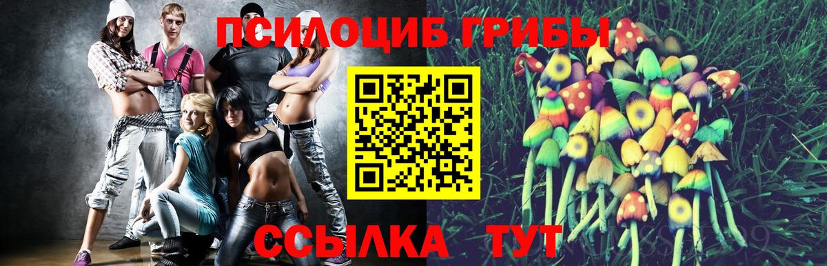 Псилоцибиновые грибы Psilocybine cubensis Дубна